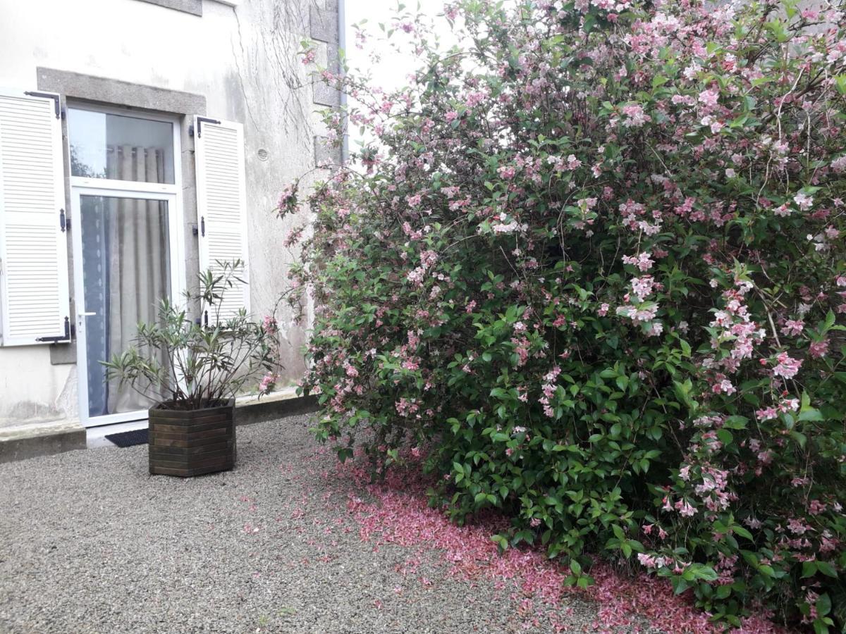 "Cosy Trendy & Chic" - Stayhome Quimper Extérieur photo